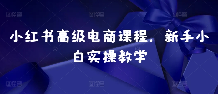 小红书高级电商课程，新手小白实操教学-搞个副业