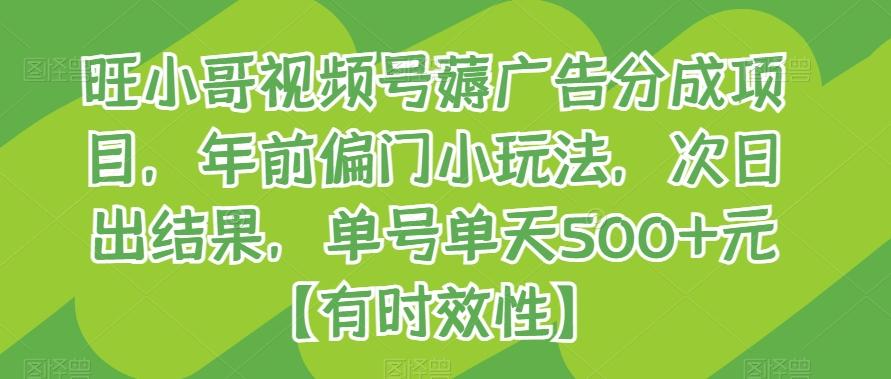 旺小哥视频号薅广告分成项目，年前偏门小玩法，次日出结果，单号单天500+元【有时效性】-搞个副业