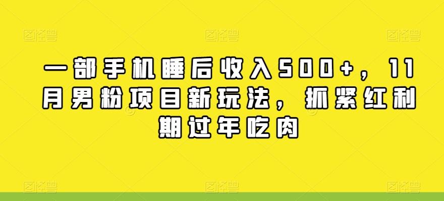 一部手机睡后收入500+，11月男粉项目新玩法，抓紧红利期过年吃肉-搞个副业