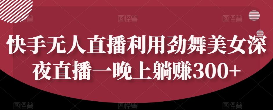 快手无人直播利用劲舞美女深夜直播一晚上躺赚300+-搞个副业