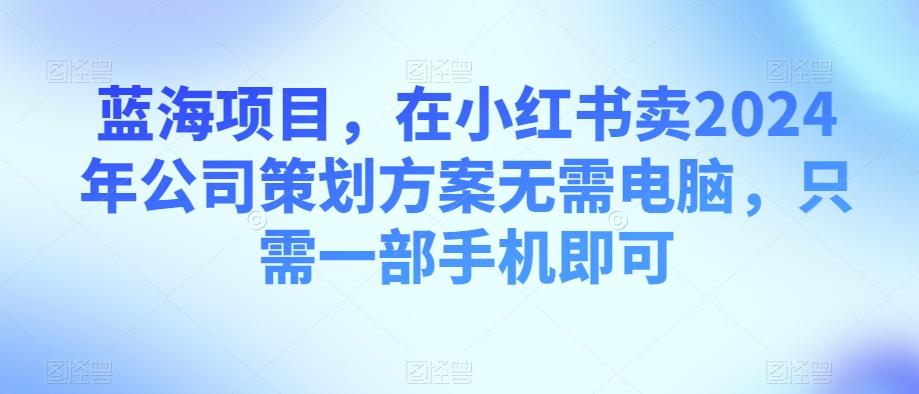 蓝海项目，在小红书卖2024年公司策划方案无需电脑，只需一部手机即可-搞个副业