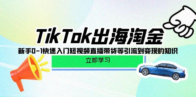 (10035期)TikTok-出海淘金，新手0-1快速入门短视频直播带货等引流到变现的知识-搞个副业