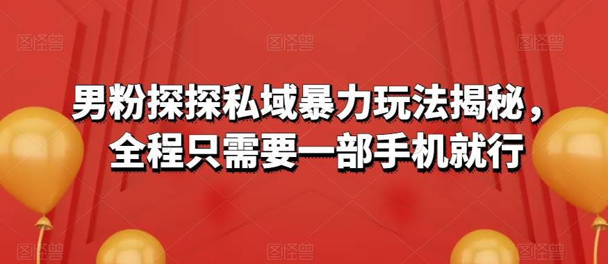 男粉探探私域暴力玩法揭秘，全程只需要一部手机就行-搞个副业