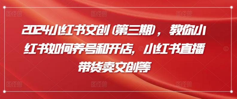 2024小红书文创(第三期)，教你小红书如何养号和开店，小红书直播带货卖文创等-搞个副业