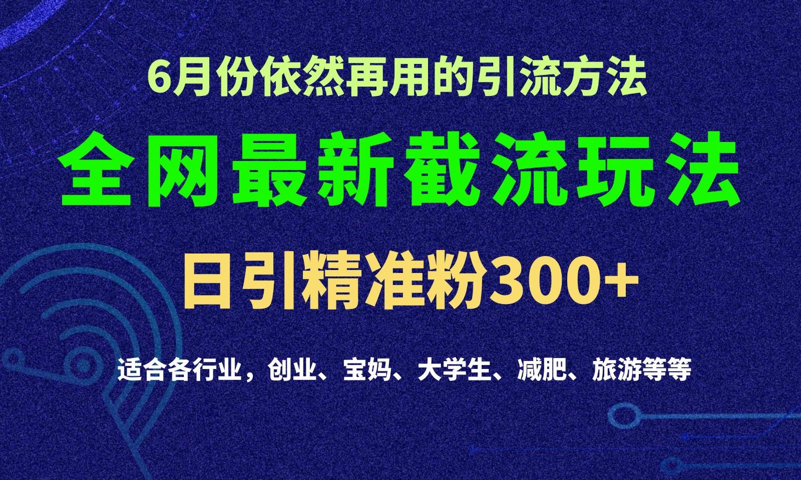 2024全网最新截留玩法，每日引流突破300+-搞个副业