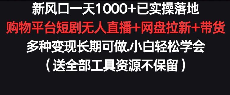 新风口一天1000+已实操落地购物平台短剧无人直播+网盘拉新+带货多种变现长期可做【揭秘】-搞个副业