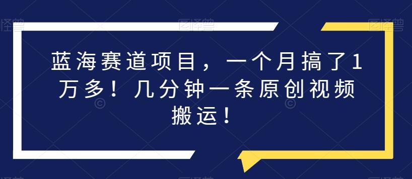蓝海赛道项目，一个月搞了1万多！几分钟一条原创视频搬运！-搞个副业