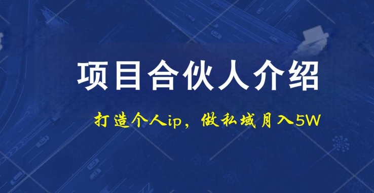 项目合伙人项目，打造个人IP，做私域月入5W，小白勿扰-搞个副业