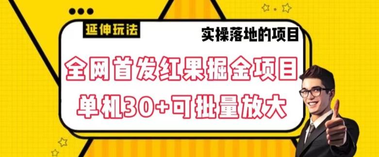 全网首发红果免费短剧掘金项目，单机30+可批量放大【揭秘】-搞个副业