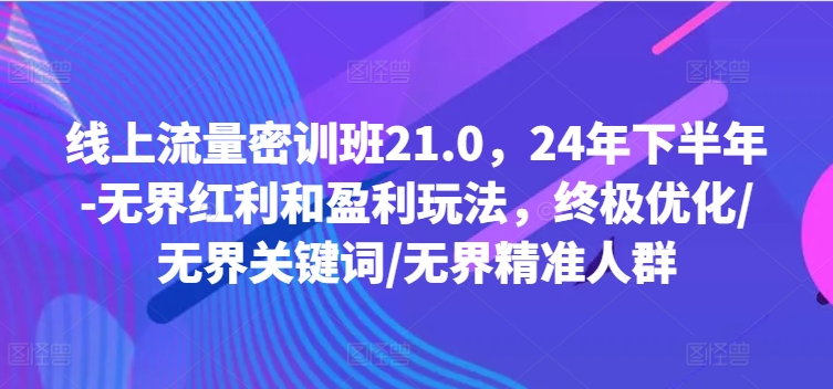 线上流量密训班21.0，24年下半年-无界红利和盈利玩法，终极优化/无界关键词/无界精准人群-搞个副业