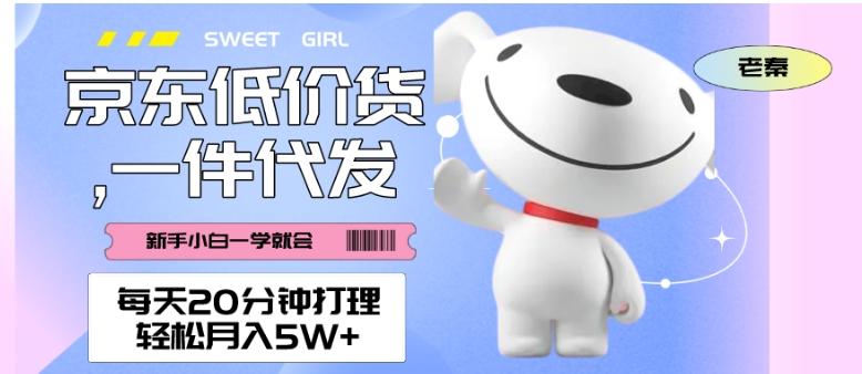 每天20分钟打理京东低价货，一件代发-轻松月入5W＋-搞个副业