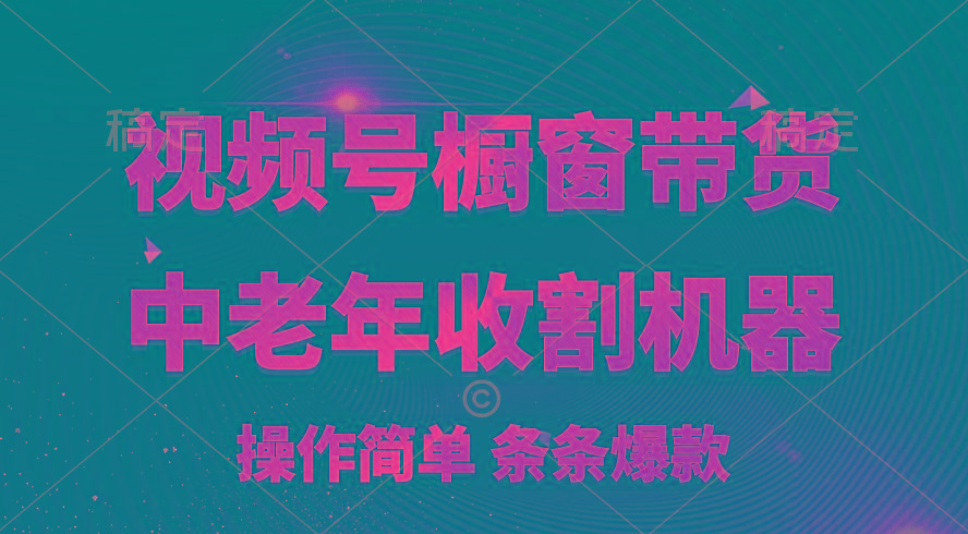 [你的孩子成功取得高位]视频号最火爆赛道，橱窗带货，流量分成计划，条…-搞个副业