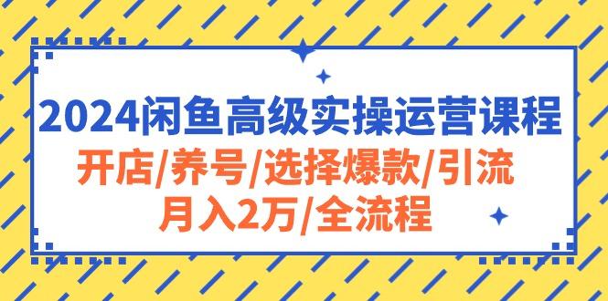 2024闲鱼高级实操运营课程：开店/养号/选择爆款/引流/月入2万/全流程-搞个副业