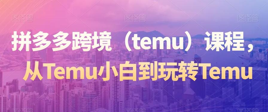 拼多多跨境（temu）课程，从Temu小白到玩转Temu-搞个副业