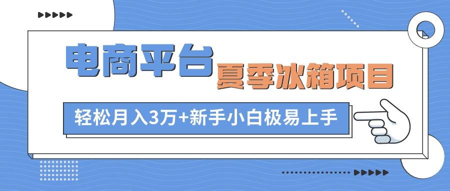 电商平台夏季冰箱项目，轻松月入3万+，新手小白极易上手-搞个副业