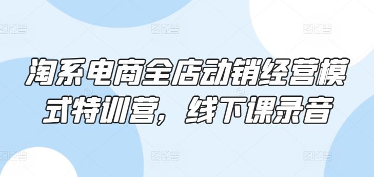 淘系电商全店动销经营模式特训营，线下课录音-搞个副业