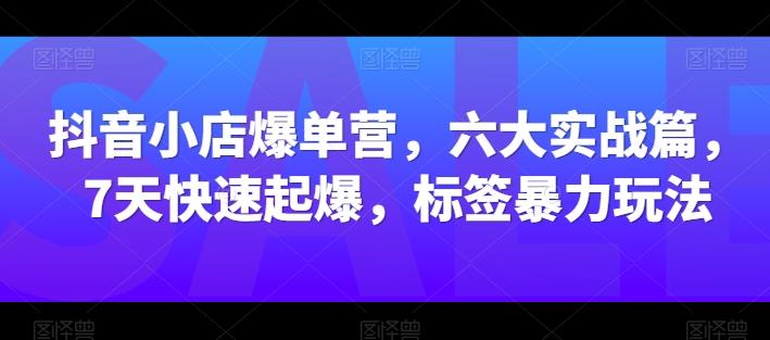 抖音小店爆单营，六大实战篇，7天快速起爆，标签暴力玩法-搞个副业