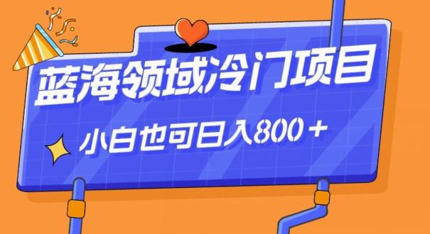 蓝海领域冷门赛道，一单39.9，日入800＋-搞个副业