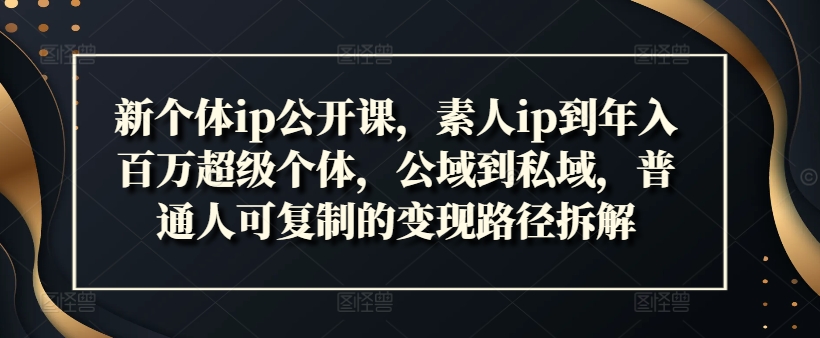 新个体ip公开课，素人ip到年入百万超级个体，公域到私域，普通人可复制的变现路径拆解-搞个副业