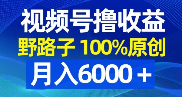 视频号野路子撸收益，100%原创，条条爆款，月入6000＋【揭秘】-搞个副业