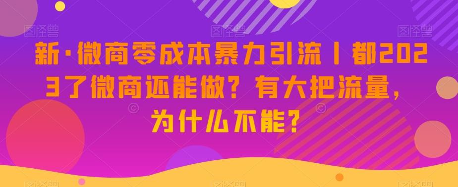 新·微商零成本暴力引流丨都2023了微商还能做？有大把流量，为什么不能？-搞个副业