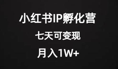 价值2000+的小红书IP孵化营项目，超级大蓝海，七天即可开始变现，稳定月入1W+-搞个副业