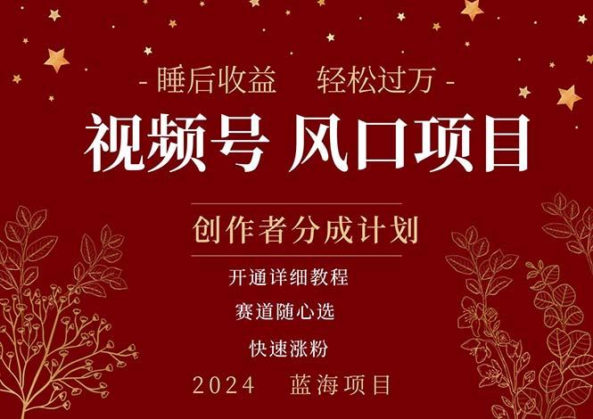 拥有睡眠收益的微信视频号大风口项目，轻松月入过万+，多赛道选择，可…-搞个副业