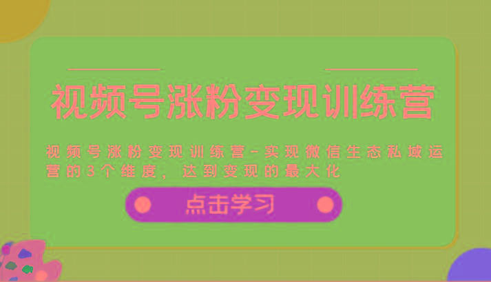 视频号涨粉变现训练营-实现微信生态私域运营的3个维度，达到变现的最大化-搞个副业