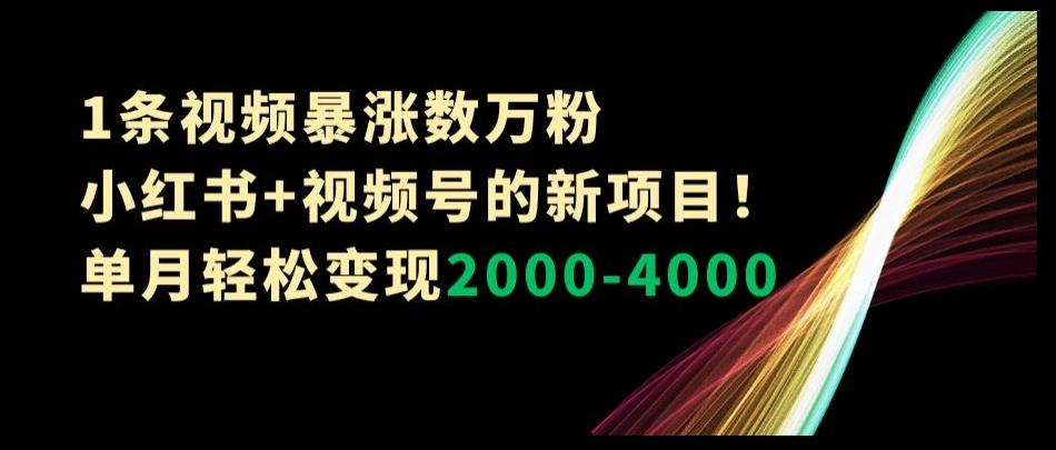 1条视频暴涨数万粉–小红书+视频号的新项目！单月轻松变现2000-4000【揭秘】-搞个副业