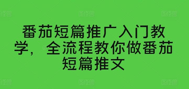 番茄短篇推广入门教学，全流程教你做番茄短篇推文-搞个副业
