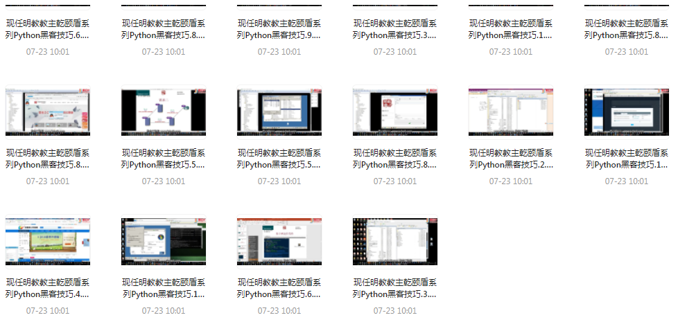 Python黑客技巧课程-搞个副业