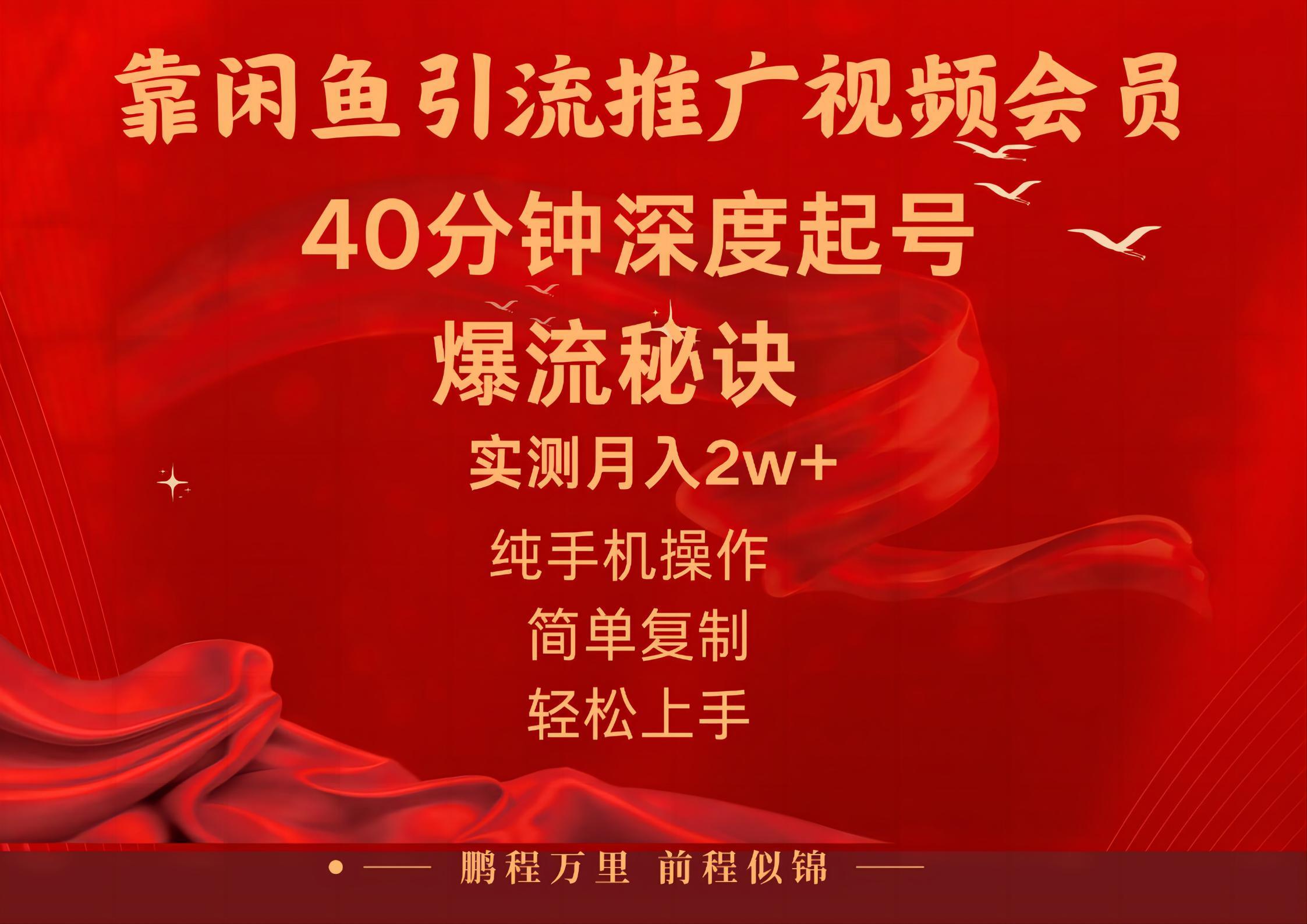 闲鱼暴力引流推广视频会员，能做到日入2W+，操作简单-搞个副业