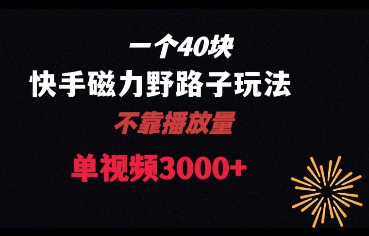一个40块，快手联合美团磁力新玩法，无视机制野路子玩法，单视频收益4位数【揭秘】-搞个副业
