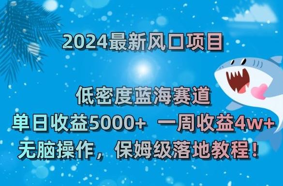 2024最新风口项目，低密度蓝海赛道，单日收益5000+，一周收益4w+！【揭秘】-搞个副业