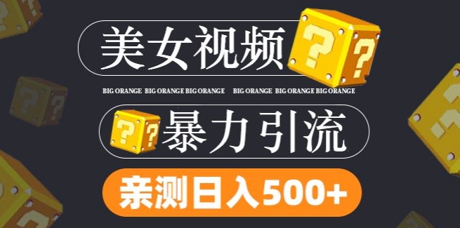 搬运tk美女视频全网分发，日引s粉300+，轻松变现，不限流量不封号【揭秘】-搞个副业