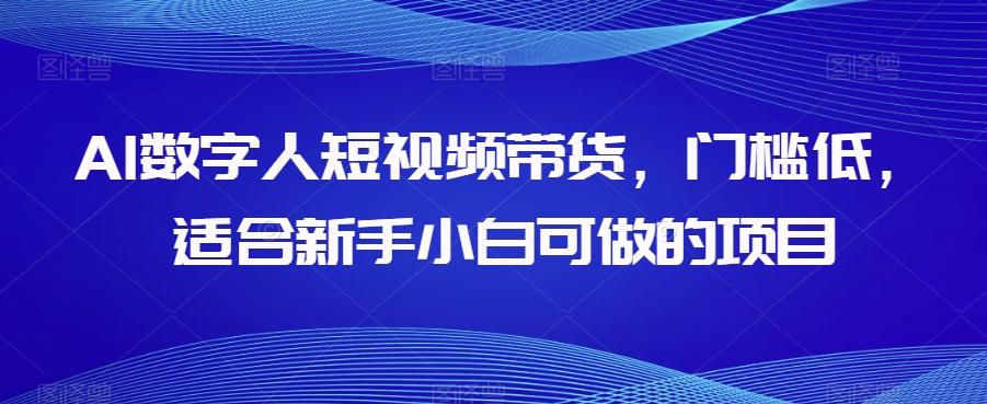 AI数字人短视频带货，门槛低，适合新手小白可做的项目-搞个副业