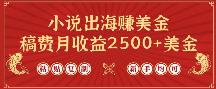 小说出海赚美金，稿费月收益2500+美金，仅需chatgpt粘贴复制，新手也能玩转【揭秘】-搞个副业