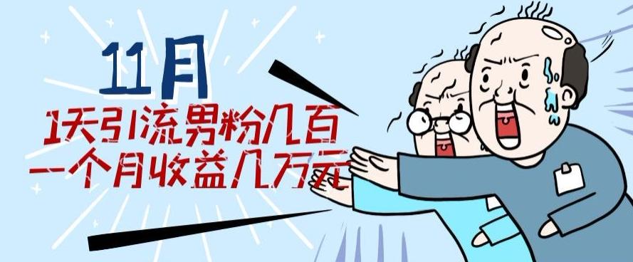 11月最新每天引流男粉300+一个月收益几万元-搞个副业