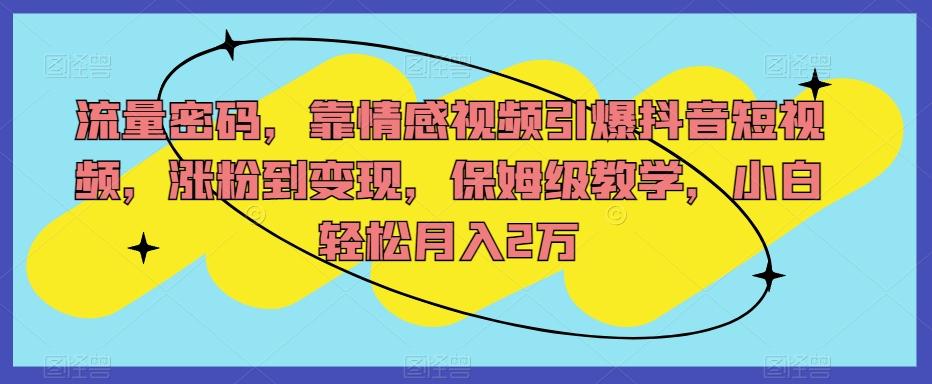 流量密码，靠情感视频引爆抖音短视频，涨粉到变现，保姆级教学，小白轻松月入2万【揭秘】-搞个副业