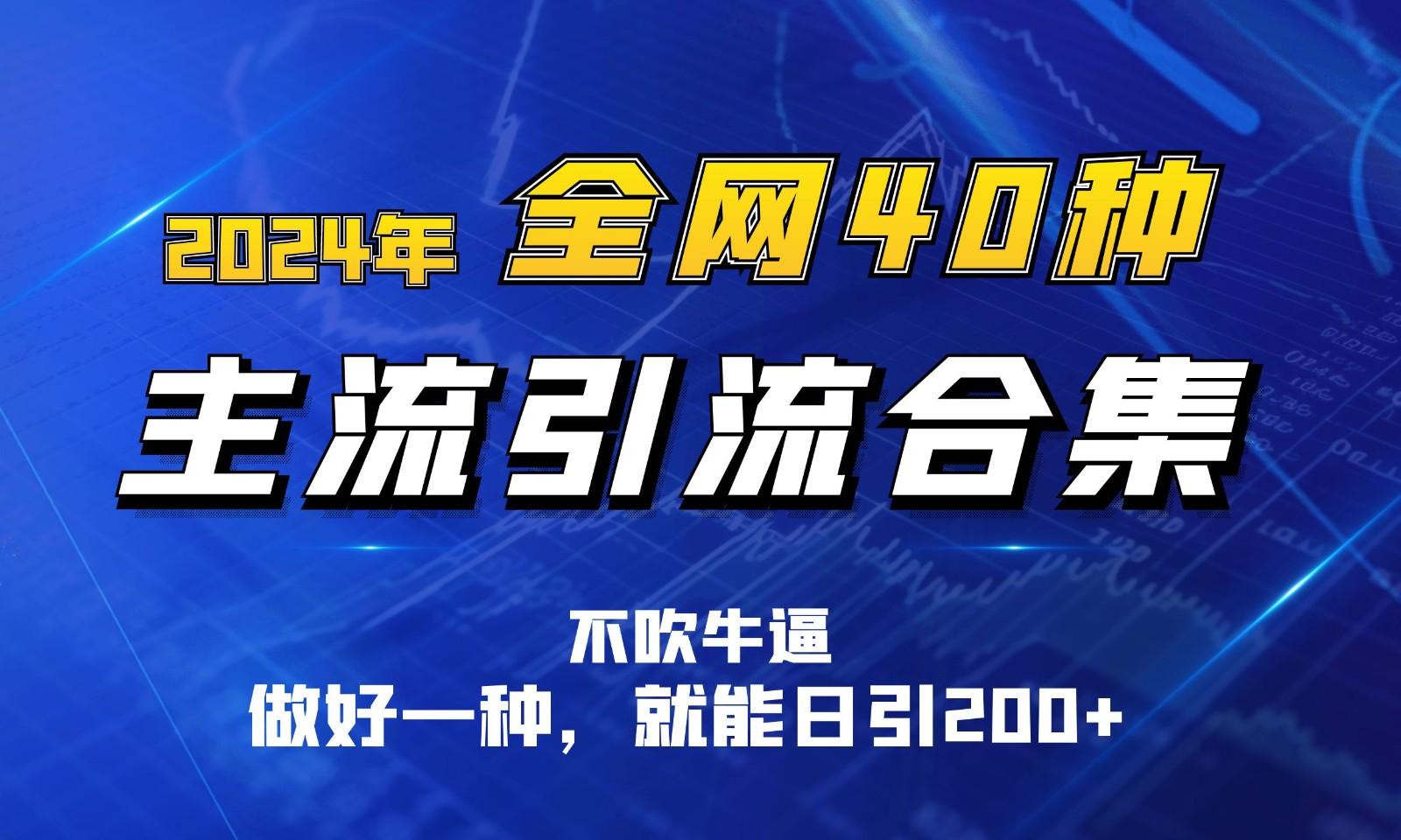 2024年全网40种暴力引流合计，做好一样就能日引100+-搞个副业