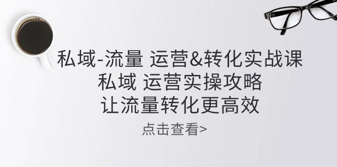 私域-流量 运营&转化实操课：私域 运营实操攻略 让流量转化更高效-搞个副业