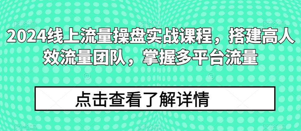 2024线上流量操盘实战课程，搭建高人效流量团队，掌握多平台流量-搞个副业