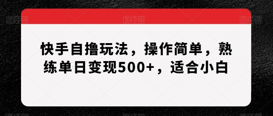 快手自撸玩法，操作简单，熟练单日变现500+，适合小白【揭秘】-搞个副业