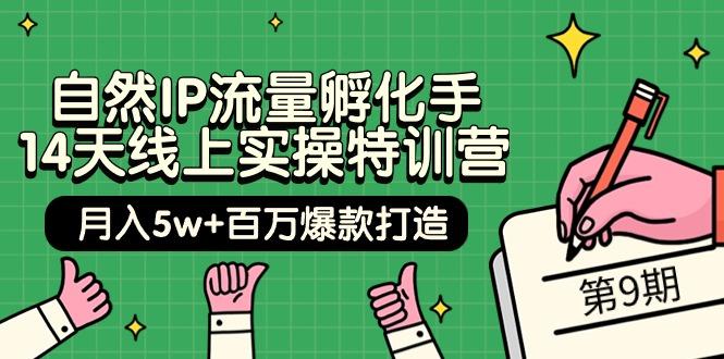 (9881期)自然IP流量孵化手 14天线上实操特训营【第9期】月入5w+百万爆款打造 (74节)-搞个副业