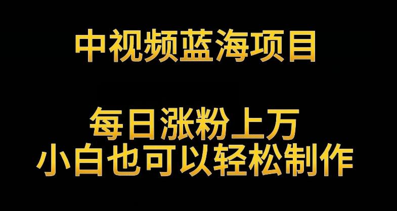 中视频蓝海项目，解读英雄人物生平，每日涨粉上万，小白也可以轻松制作，月入过万不是梦【揭秘】-搞个副业