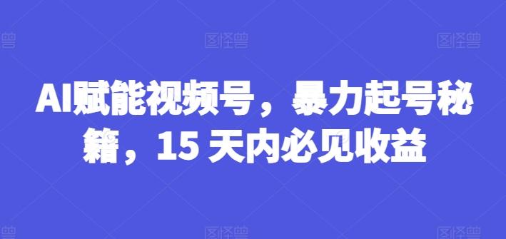 AI赋能视频号，暴力起号秘籍，15 天内必见收益【揭秘】-搞个副业