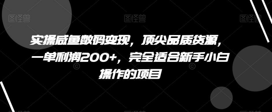 实操咸鱼数码变现，顶尖品质货源，一单利润200+，完全适合新手小白操作的项目【揭秘】-搞个副业