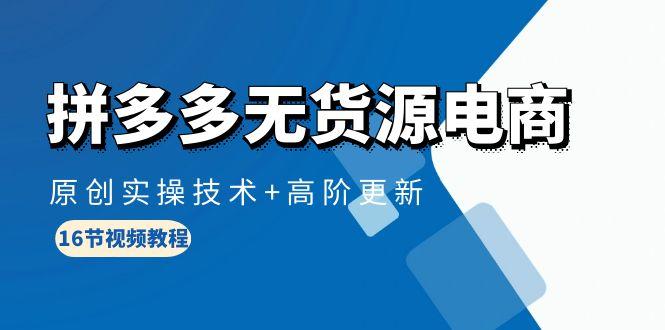 (10015期)拼多多无货源电商，原创实操技术+高阶更新(16节视频教程)-搞个副业
