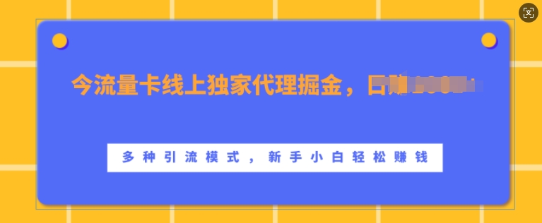 流量卡线上独家代理掘金，日入1k+ ，多种引流模式，新手小白轻松上手【揭秘】-搞个副业