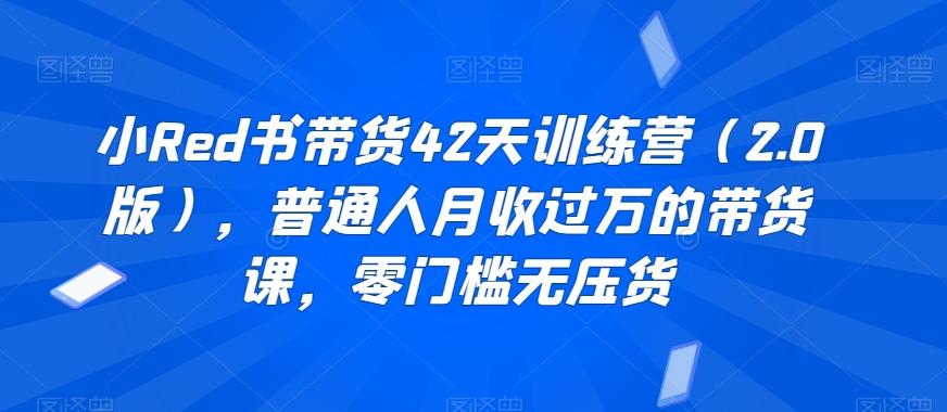 小Red书带货42天训练营(2.0版)，普通人月收过万的带货课，零门槛无压货-搞个副业